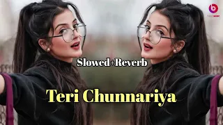 Teri Chunnariya | Slowed Reverb | Instagram Trending Reels Song