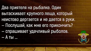 🤡Рыбак Сидит На Берегу Речки...Большой Сборник Смешных Анекдотов,Для Супер Настроения!