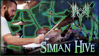 INFERI - Simian Hive | Drum Playthrough