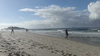 dogs at ipanema beach