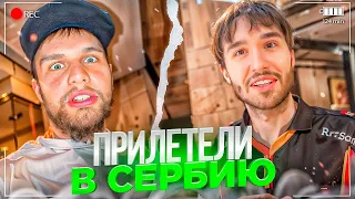 ХАЗЯЕВА ПРИЛЕТЕЛИ В СЕРБИЮ! УГАРНЫЙ ПРАНК НАД ПАРАДЕЕВИЧЕМ В ОТЕЛЕ! | КОРЕШ, ГОРИЛЛЫЧ, ПАРАДЕЕВИЧ