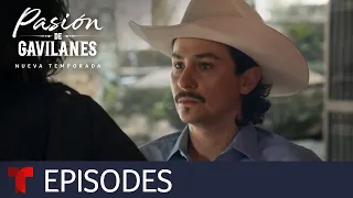 Pasión de Gavilanes, New Season | Episode 10 | Telemundo English