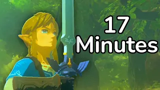 The Speedrun that gets Master Sword in 17 mins