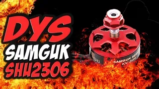 ✔ ЖАРЯТ аки САТАНА! Смерть Racerstar за 9$! Мощные моторы 2306 на 2800KV [DYS Samguk SHU]