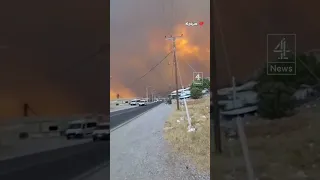 Thousands flee Greek island of Rhodes as wildfires spread
