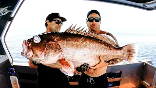 WE CAUGHT A NEW SPECIES OF GIANT GROUPER Scientific Report, Age And Eating Quality - Ep 158