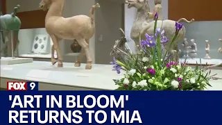 'Art in Bloom' features floral designs accompanying works of art at MIA