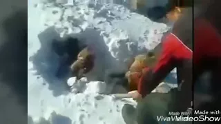 Смертельный Мороз в Казахстане пастух замёрз вместе со своими баранами (frost in Kazakhstan)