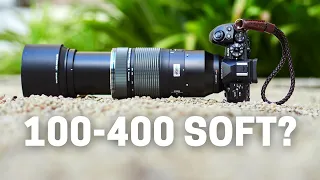 Your Olympus 100-400mm Images Are Soft? Here Are Possible Reasons Why