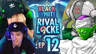 IM SO SORRY! | Pokemon Black and White Randomized Rival Locke Ep 12