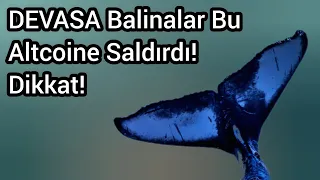 DEVASA Balinalar Bu Altcoine Saldırdı! Dikkat! | Kripto Haber.