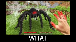 Minecraft wait what meme part 289 realistic minecraft Spider