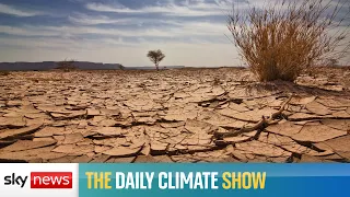 The Daily Climate Show: UN warns drought may be 'next pandemic'