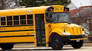 February-March 2023 School Bus Spotting Compilation