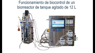 seepsa operación de un biorreactor 12L