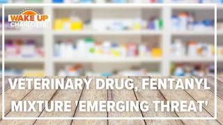 US names veterinary drug, fentanyl mixture 'emerging threat'