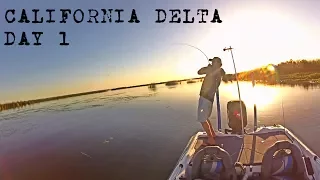 Bass Fishing The California Delta Day 1 - Punching, Frogging, & Spinnerbaits