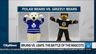 How do the Leafs and Bruins mascots match-up in the wild?