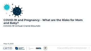 Virtual Grand Rounds: COVID-19 and Pregnancy - What Are the Risks for Mom and Baby?