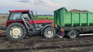 Ursus 1614 + Grimme DL 1700 + Inne Sprzęty czyli WYKOPKI 2023 odc.2 Rolnik Łukasz