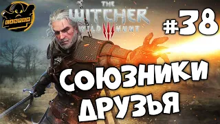 Ведьмак 3: Дикая Охота. Союзники и Друзья! Часть #38.