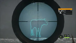 First moose🦌|theHunter:cotw!