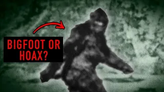 The Science Of Bigfoot