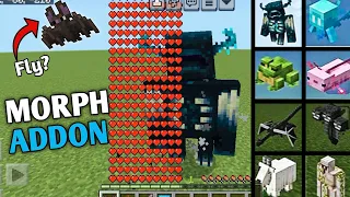 Minecraft Morph Addon For Pocket & Bedrock Edition 1.20+ | #minecraft #mcpe