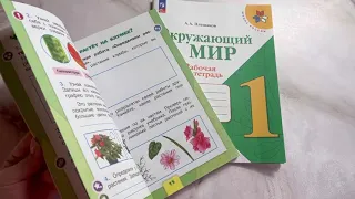 Окружающий мир 1 класс. Рабочая тетрадь в 2-х частях. Комплект. Плешаков А.А.