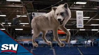 Sudbury's "Wolf on a Wire" One Of The Best And Least Understood Traditions | Home Team Heroes