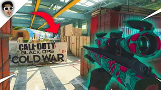 I HIT the BEST FFA TRICKSHOT on BLACK OPS COLD WAR!