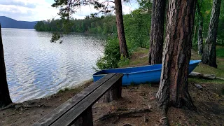 Отдыхаем на Тургояке. Обзор автокемпинга "Лесная поляна"