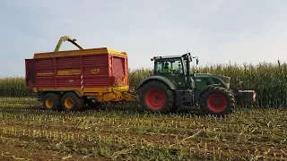 Maisernte 2017 | Fendt | Steyr | Claas | Schuitemaker | Fliegl | Mengele