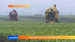 В Мордовии начался «сахарный» сезон