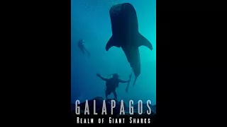 Best Attacks Of Wild Animals 2017 - Galapagos - Realm of Giant Sharks [HD]