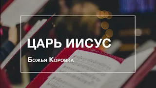 Царь Иисус - Божья Коровка | Хор Церкви ХВЕ на Мурмане