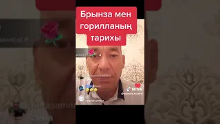 Ватсап хит тик токта