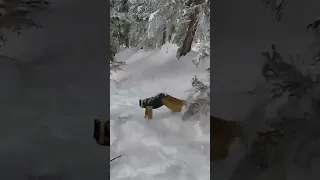 Snowboarder Rolls Down Mountain #shorts #snowboarding