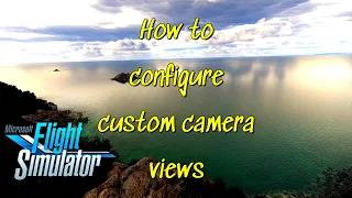 How to set up custom camera views | MSFS