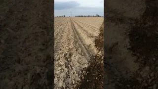 Подготовка почвы под люцерну джея