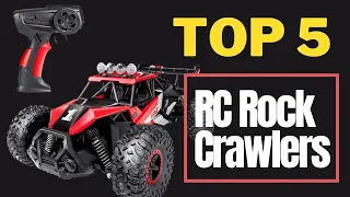 5 Best RC Rock Crawlers to Buy in 2021