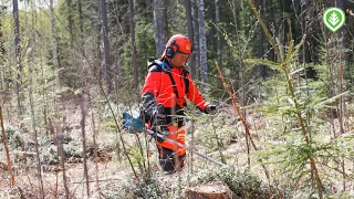 Testissä akkutoimiset raivaussahat | Metsälehti