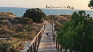 La Cuarta Cuerda - Pa llevarte a la playa