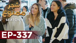 Shajar-e-Mamnu | Episode 337 | Turkish Drama  | Forbidden Fruit | Urdu Dubbing | 25 March 2022