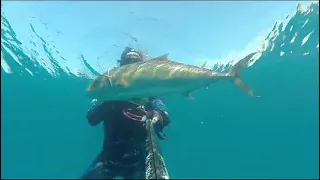 Full-The Hunter gets Hunted in a middle of a Hunt. 😎 ~ Israel Spearfishing ~אינטיאס AmberJack 10Kg