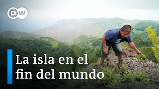 Santa Elena, una isla impresionante en uno de los lugares más remotos de la Tierra | DW Documental