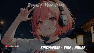 Spicyverse - Vibe | House |