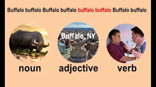 One-word Sentences: Buffalo buffalo Buffalo