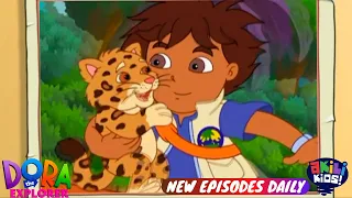 Dora The Explorer | Diego To The Rescue | Akili Kids!