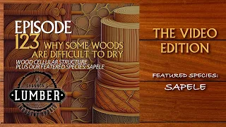 Lumber Update Episode 123 Difficult to Dry Woods | Featured Species: Sapele